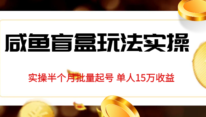 独家首发咸鱼盲盒玩法实操,半个月批量起号单人15万收益揭秘-赛德副业库