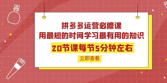 拼多多运营必修课:20节课每节5分钟左右,用最短的时间学习最有用的知识-赛德副业库