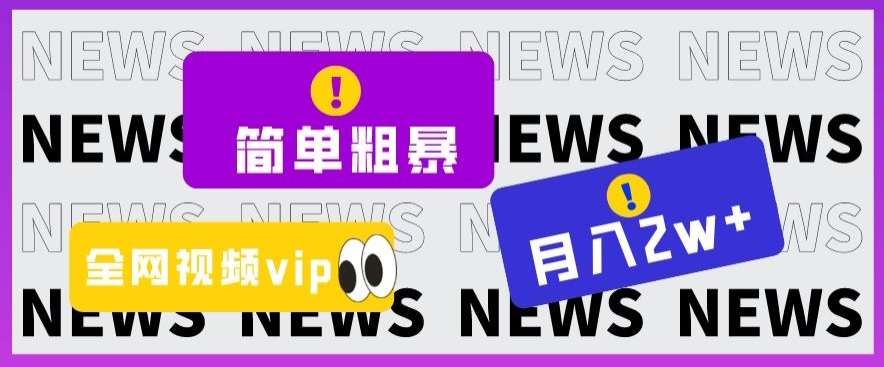 简单粗暴零成本，高回报，全网视频VIP掘金项目，月入2万＋【揭秘】-赛德副业库
