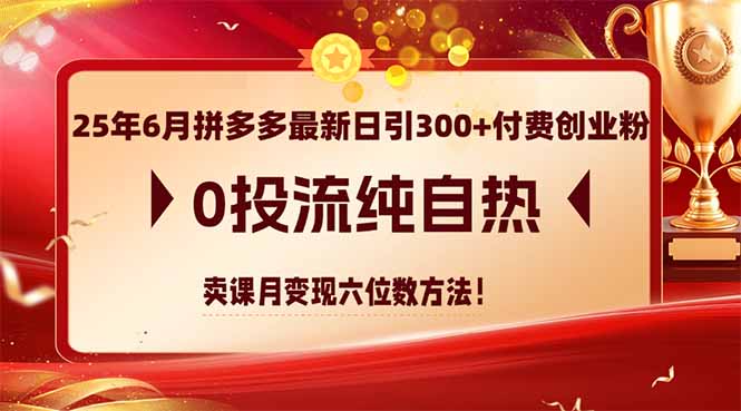 （14989期）25年6月拼多多最新日引300+付费创业粉，0投流纯自热 卖课月变现六位数方法-赛德副业库