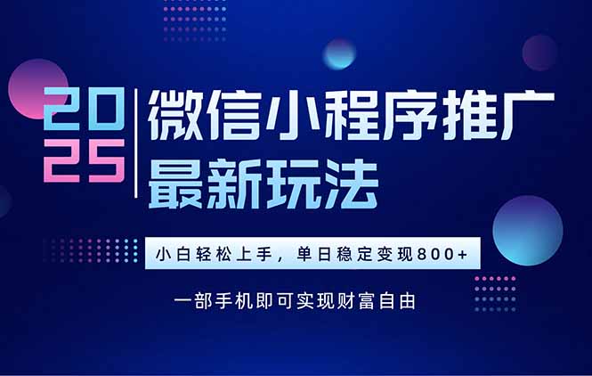（15603期）25年下半年微信小程序推广最新玩法，轻松日入800+-赛德副业库