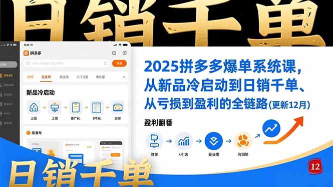 （16894期）2025拼多多爆单系统课，从新品冷启动到日销千单、从亏损到盈利的全链路（更新12月）-赛德副业库
