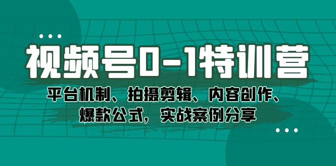 视频号0-1特训营:平台机制、拍摄剪辑、内容创作、爆款公式,实战案例分享-赛德副业库