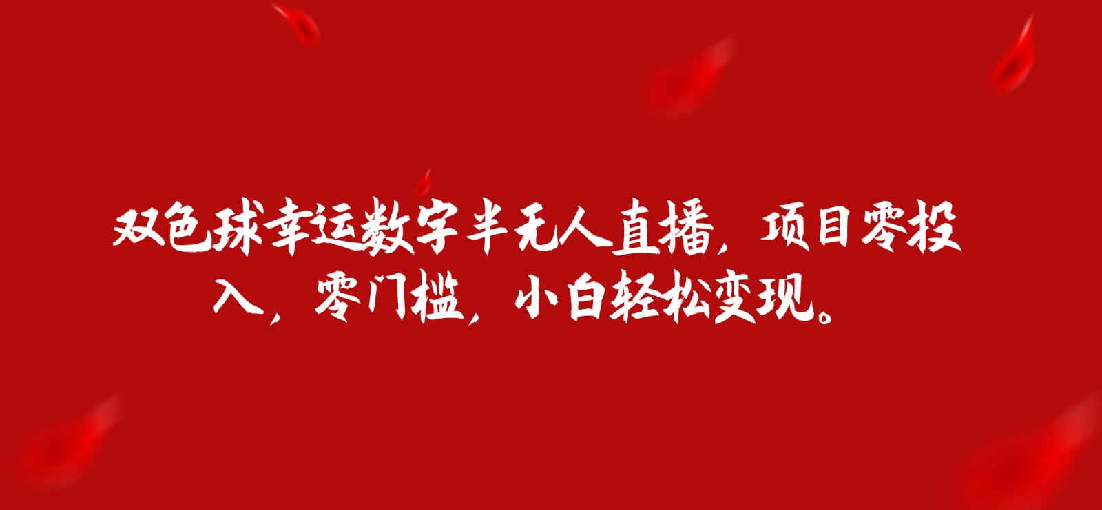 双色球幸运数字半无人直播，项目零投入，零门槛，小白轻松变现。-赛德副业库