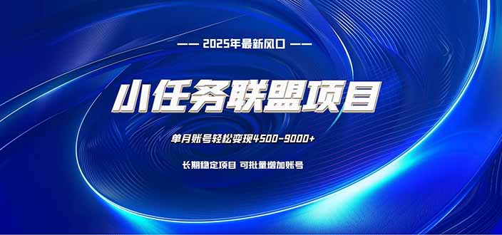 (16521期)小任务联盟项目:一台电脑每天只需10分钟,轻松简单稳定-赛德副业库