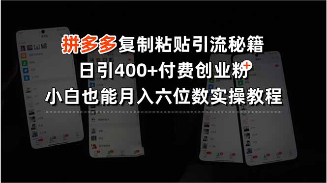 （15613期）拼多多复制粘贴引流秘籍，日引400+付费创业粉，小白也能月入六位数实操…-赛德副业库