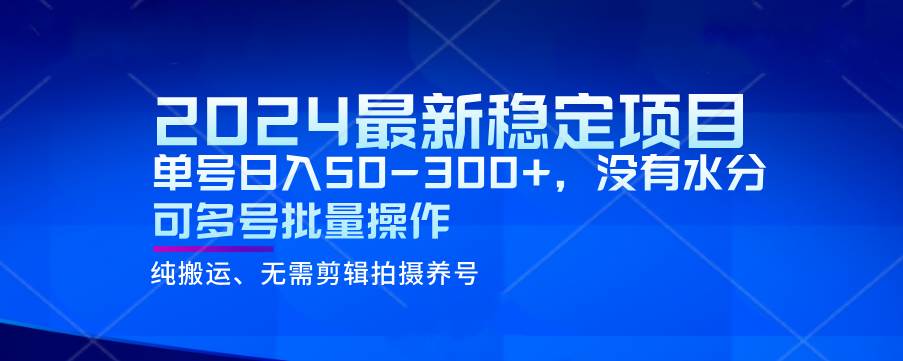 2024最新稳定风口项目，单号日入50-300+，没有水分 可多号批量操作-赛德副业库