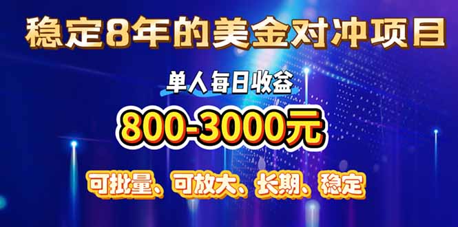 (15782期)稳定8年的美金对冲创业项目,单人每日收益800-3000,小众暴力项目-赛德副业库