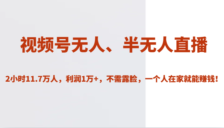视频号无人、半无人直播2小时11.7万人,利润1万+,不需露脸,一个人在家就能赚钱!-赛德副业库