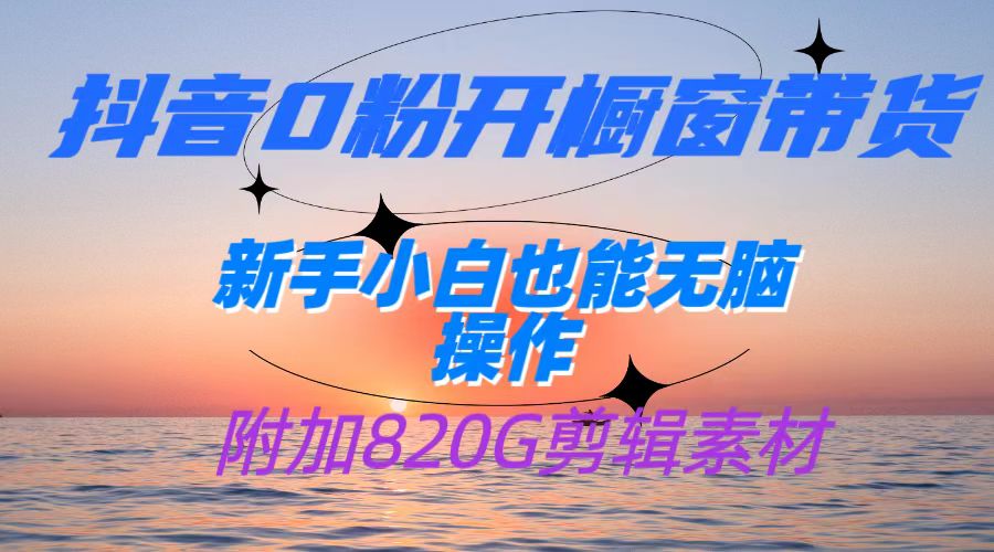 抖音0粉开橱窗带货，日入500+，新手小白也能无脑操作【附加820G剪辑资料】-赛德副业库