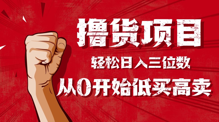 （16315期）手把手教你撸货，从0开始低买高卖，小白轻松实现日入三位数!!!-赛德副业库