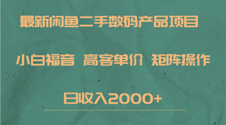 最新闲鱼二手数码赛道,小白福音,高客单价,矩阵操作,日收入2000+-赛德副业库