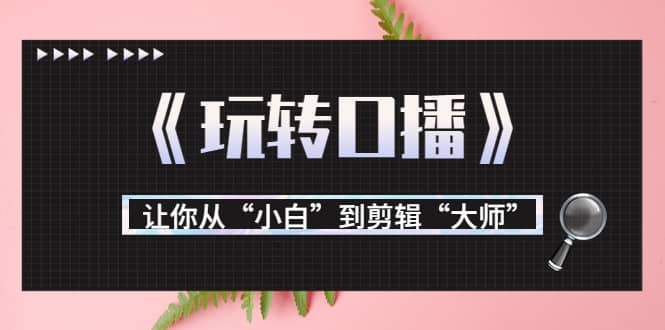 月营业额700万+大佬教您《玩转口播》让你从“小白”到剪辑“大师”-赛德副业库