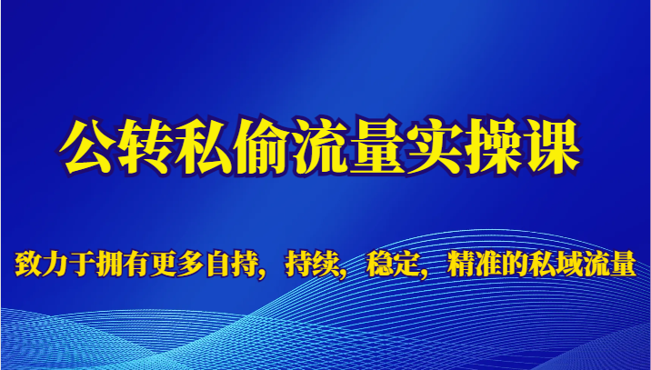 公转私偷流量实操课，致力于拥有更多自持，持续，稳定，精准的私域流量-赛德副业库