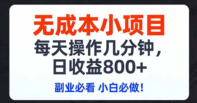 (17447期)无成本小项目,每天操作几分钟,日收益800+ 副业必看 小白必做!-赛德副业库