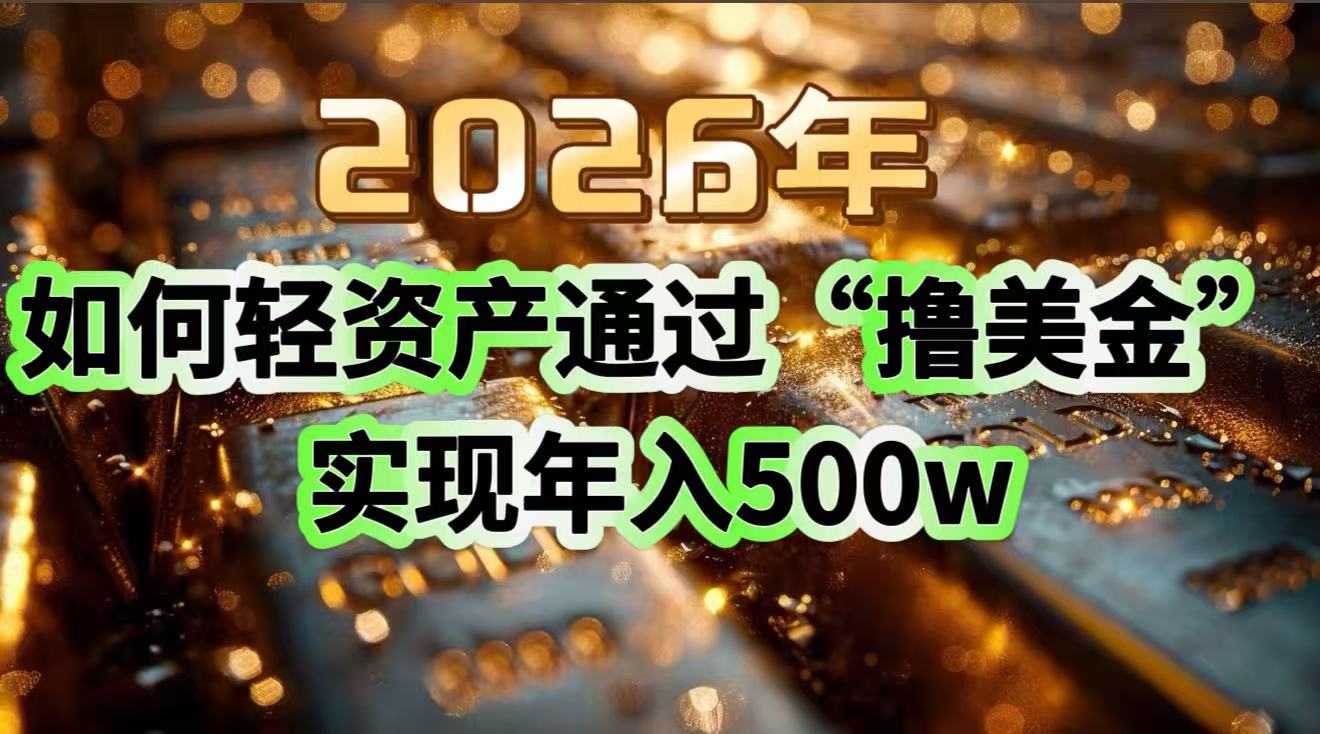 （17033期）2026年如何轻资产通过“撸美金”实现年入500w-赛德副业库