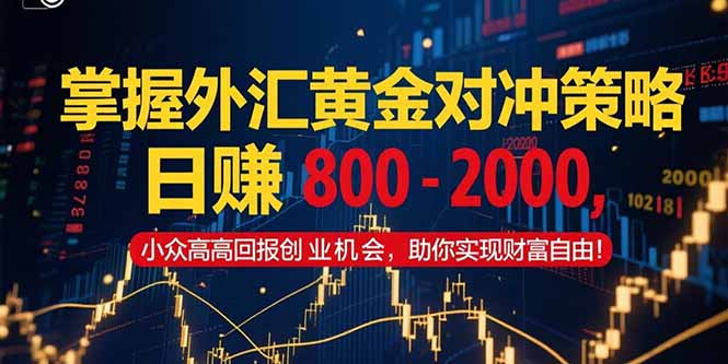 （15198期）掌握外汇黄金对冲策略，日赚 800 - 2000，小众高回报创业机会，助你实...-赛德副业库