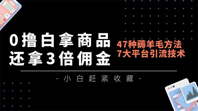（16780期）0撸白拿商品，还拿3倍佣金，47种薅羊毛方法，7大平台全方位引流技术教学，精专月入过万-赛德副业库