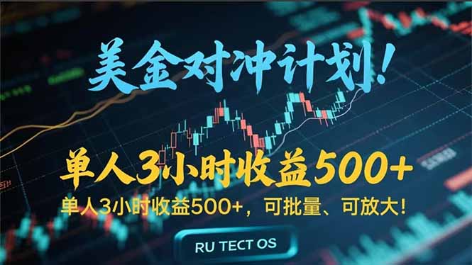 (15321期)长久稳定的撸美金项目,平均3小时收入 500+,可公司实地考察实地操作!-赛德副业库