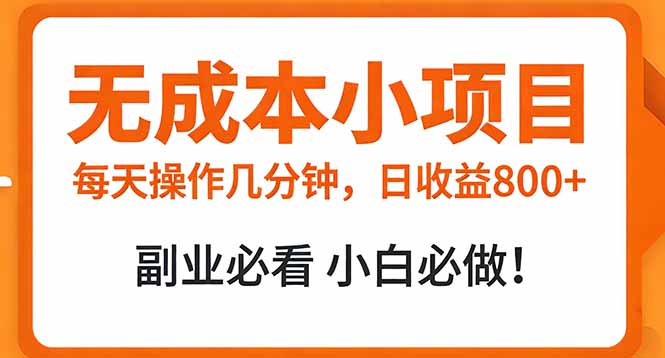 (17307期)无成本小项目 每天操作几分钟,真实日收益800+ 副业必看 小白必做!-赛德副业库