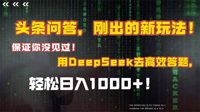 （14957期）头条问答，刚出的新玩法！保证你没见过！结合Deepseek高效答题，轻松日…-赛德副业库