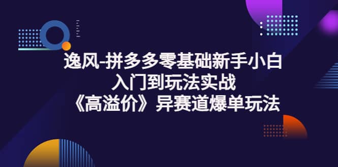 拼多多零基础新手小白入门到玩法实战《高溢价》异赛道爆单玩法实操课-赛德副业库