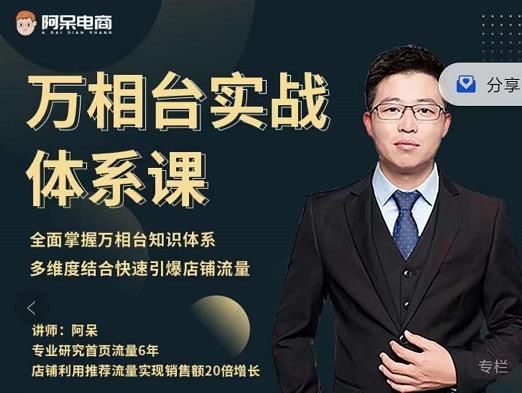 阿呆-万相台实战体系课,帮您全面掌握万相台知识体系-赛德副业库