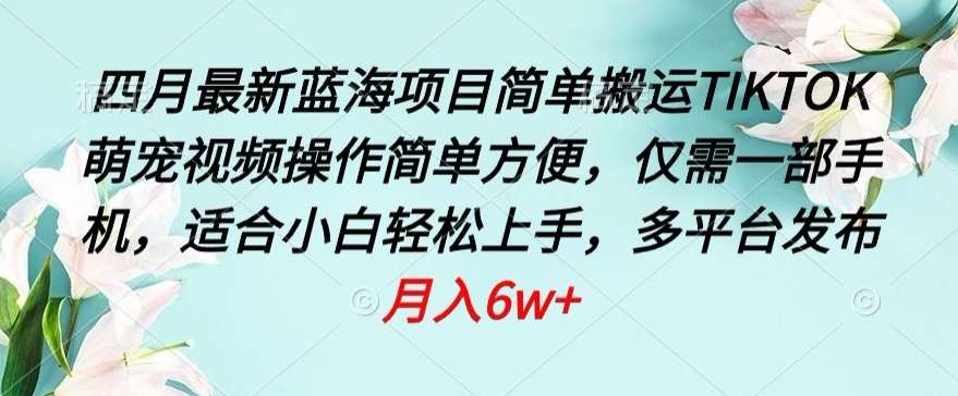 四月最新蓝海项目,简单搬运TIKTOK萌宠视频,操作简单方便,仅需一部手机【揭秘】-赛德副业库