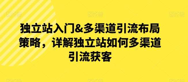 独立站入门&多渠道引流布局策略,详解独立站如何多渠道引流获客-赛德副业库