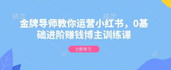 金牌导师教你运营小红书,0基础进阶赚钱博主训练课-赛德副业库