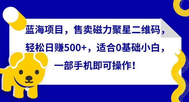 蓝海项目,售卖磁力聚星二维码,轻松日赚500+,适合0基础小白,一部手机即可操作【揭秘】-赛德副业库