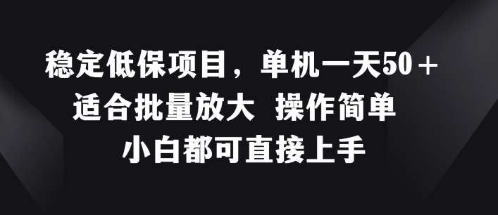 稳定低保项目，单机一天50+适合批量放大 操作简单 小白都可直接上手【揭秘】-赛德副业库