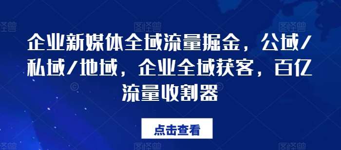 企业新媒体全域流量掘金，公域/私域/地域，企业全域获客，百亿流量收割器-赛德副业库