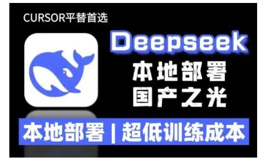 2025年deepseek R1 大型模型本地安装部署(文件+教程)本地部署，超低训练成本-赛德副业库