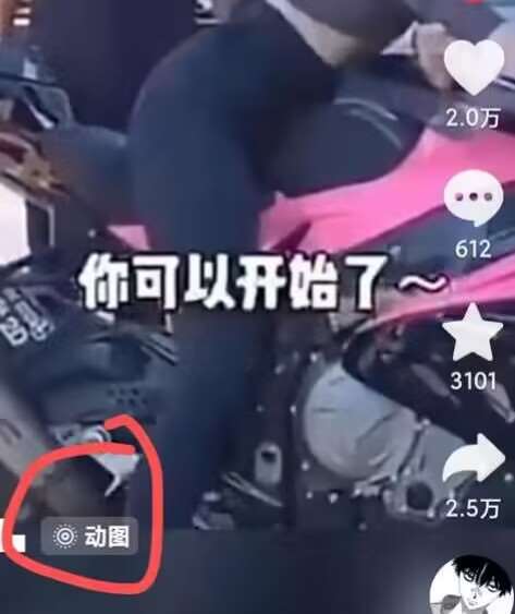 图片[2]-2024年7月苹果手机动图搬运技术-赛德副业库