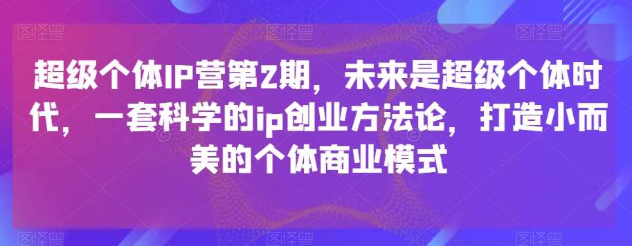 超级个体IP营第2期，未来是超级个体时代，一套科学的ip创业方法论，打造小而美的个体商业模式-赛德副业库