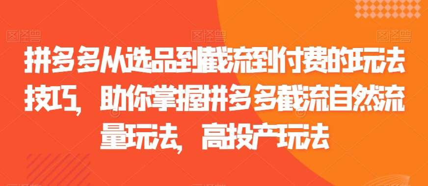 拼多多从选品到截流到付费的玩法技巧，助你掌握拼多多截流自然流量玩法，高投产玩法-赛德副业库