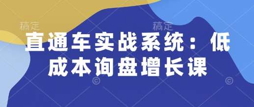 直通车实战系统：低成本询盘增长课，让个人通过技能实现升职加薪，让企业低成本获客，订单源源不断-赛德副业库