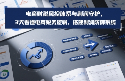 电商财税风控体系与利润守护,3天看懂电商税务逻辑,搭建利润防御系统-赛德副业库