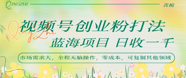 视频号创业粉打法，日入1k，蓝海项目，市场需求大，全程无脑操作，可复制-赛德副业库