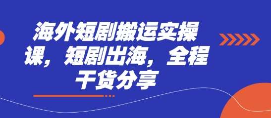 海外短剧搬运实操课，短剧出海，全程干货分享-赛德副业库