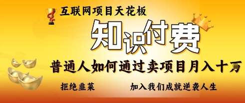 互联网项目天花板，知付付费项目，普通人如何通过卖项目月入十个，拒绝韭菜【揭秘】-赛德副业库