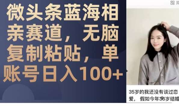微头条蓝海相亲赛道，无脑复制粘贴，单账号日入100+-赛德副业库