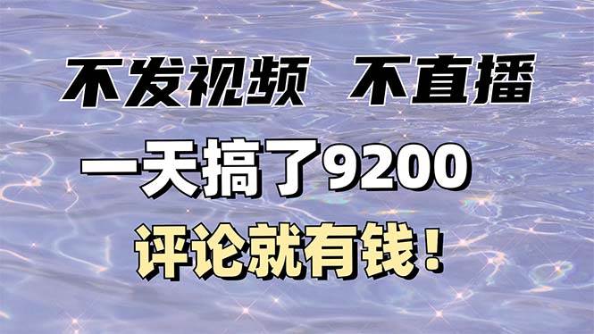 （14018期）不发作品不直播，评论就有钱，一条最高10块，一天搞了9200-赛德副业库