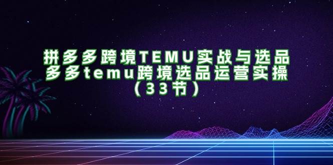 （11934期）拼多多跨境TEMU实战与选品，多多temu跨境选品运营实操（33节）-赛德副业库