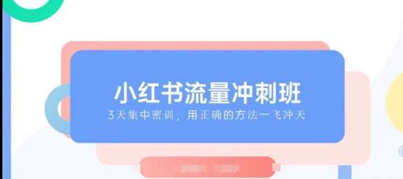 小红书流量冲刺班2025，最懂小红书的女人，快速教你2025年入局小红书-赛德副业库