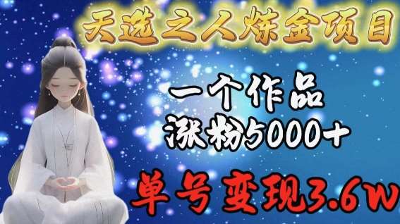 天选之人炼金项目,一个作品涨粉5000+,单号变现3.6w【揭秘】-赛德副业库