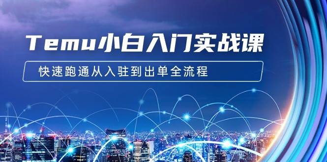 （9295期）Temu小白入门实战课：跨境拼多多电商培训 快速跑通从入驻到出单全流程-12节-赛德副业库