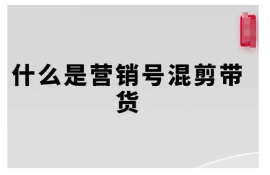 营销号混剪带货，从内容创作到流量变现的全流程，教你用营销号形式做混剪带货-赛德副业库
