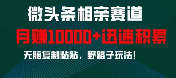 微头条相亲赛道，迅速积累，无脑复制粘贴，野路子玩法，月入1w-赛德副业库